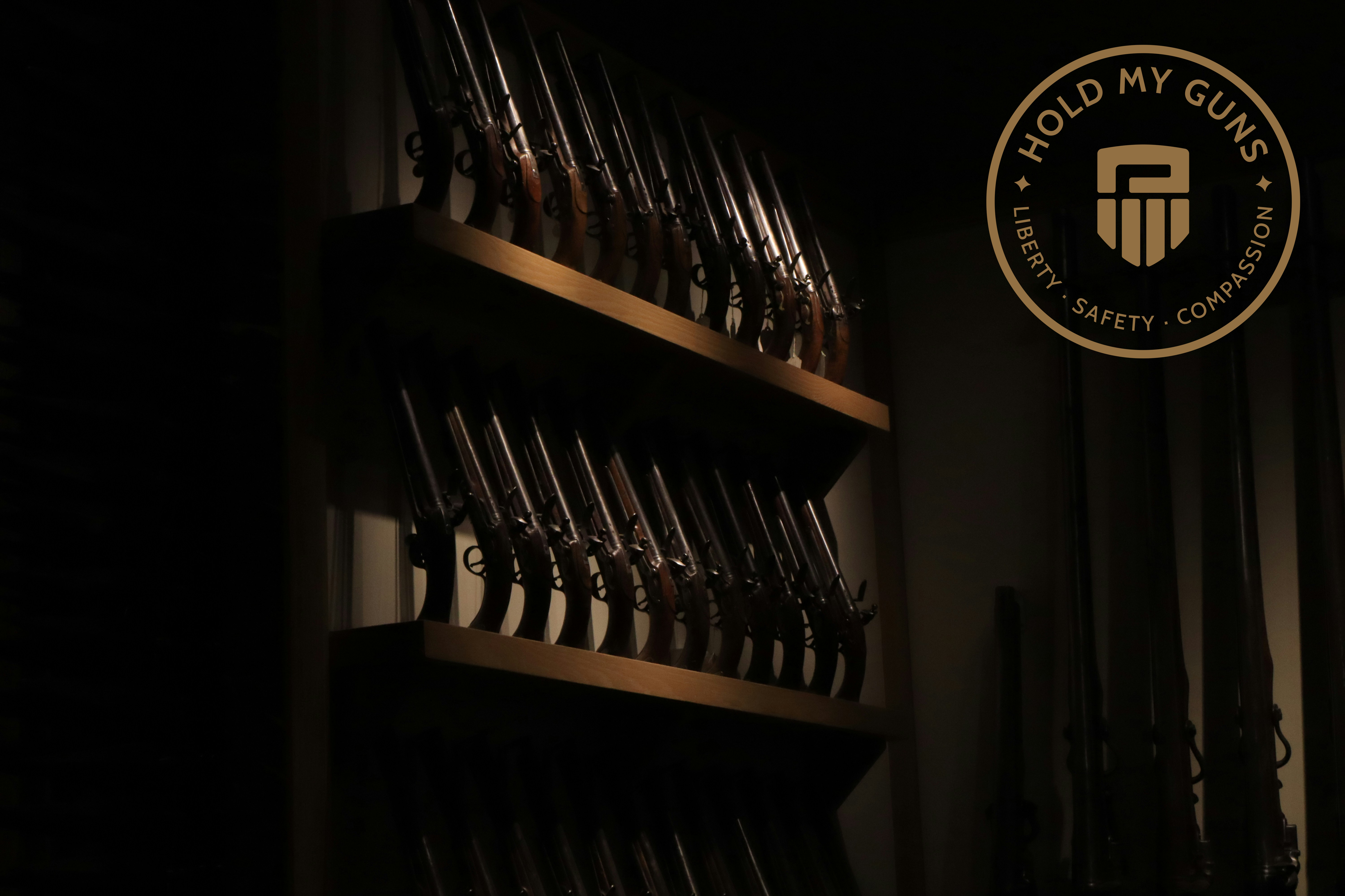 Hold My Guns — logo applications on print and merchandise