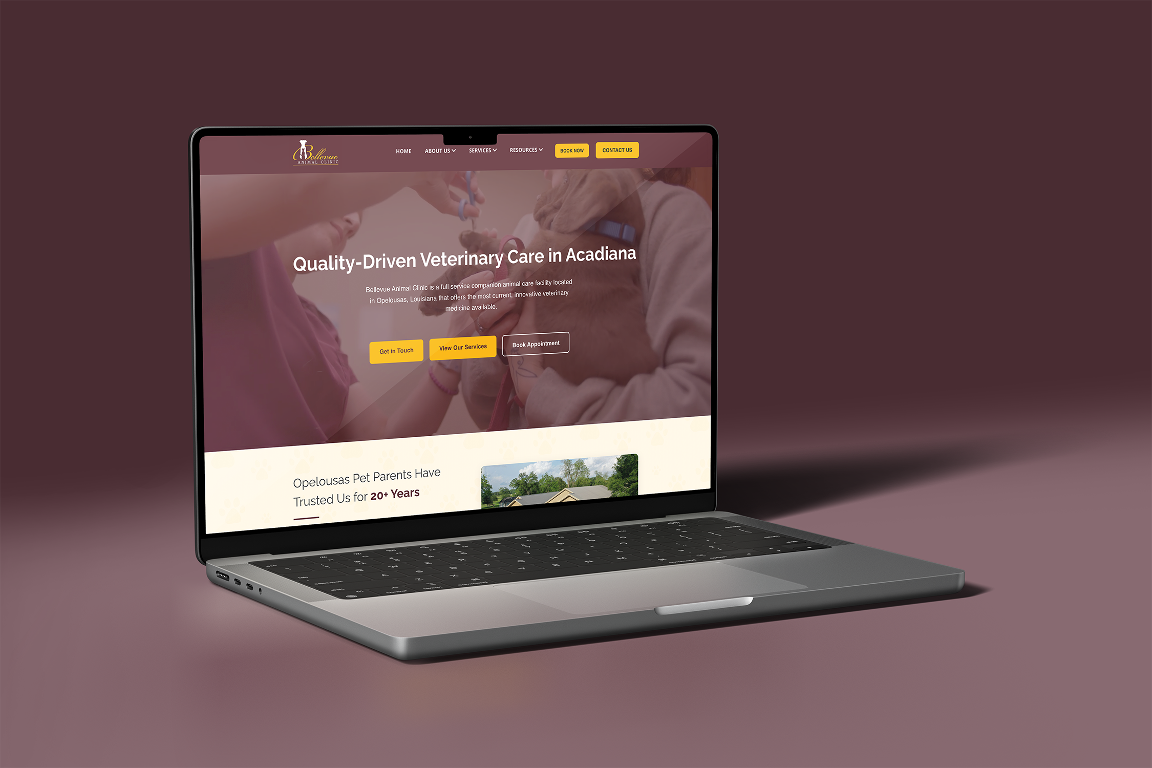 Bellevue Animal Clinic — Website, Content & SEO — project preview
