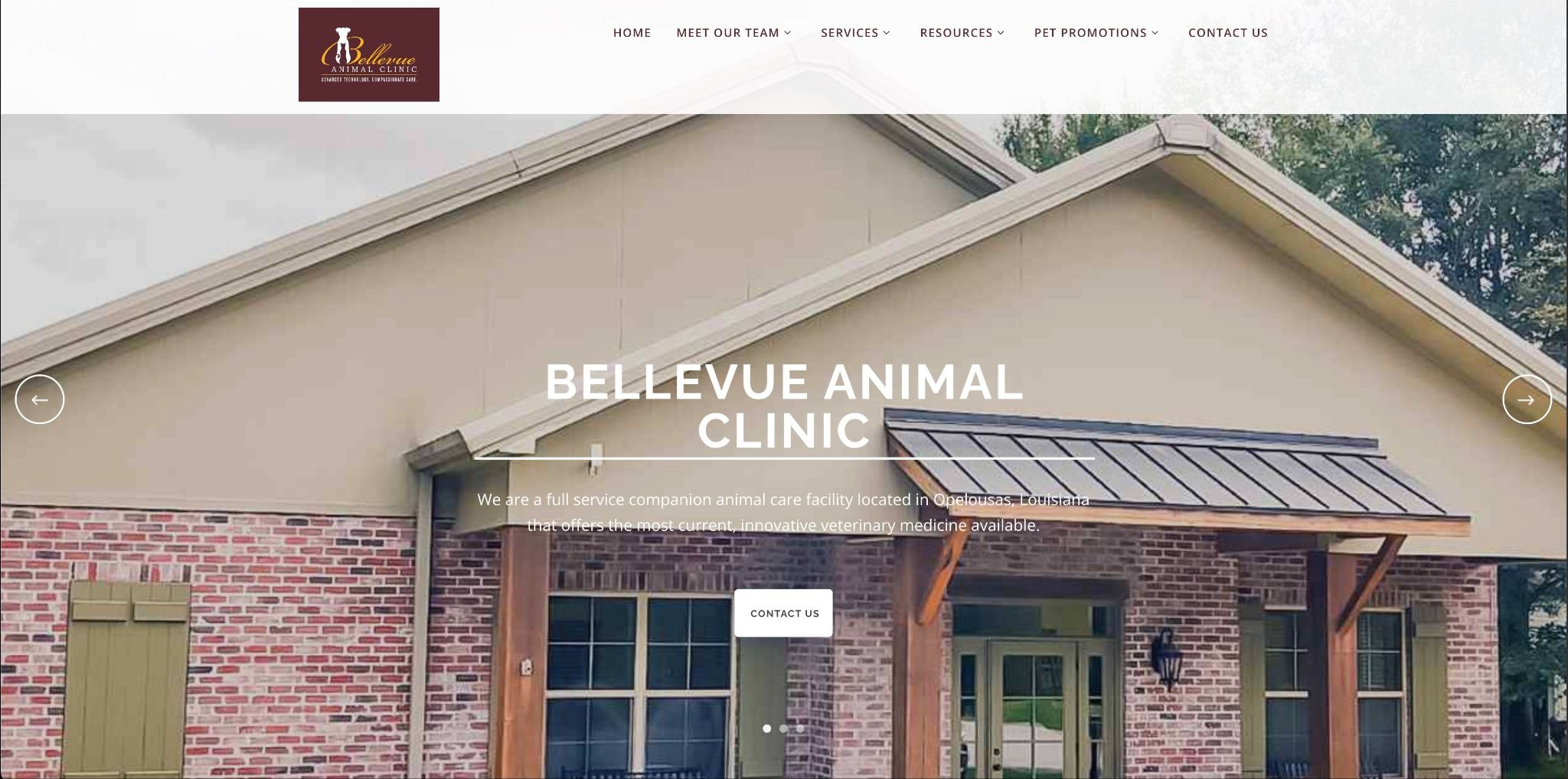 The previous Bellevue Animal Clinic website homepage